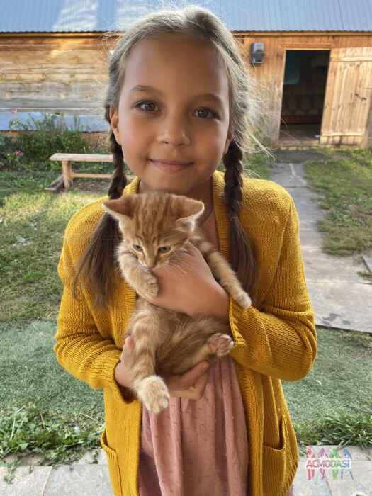 Карима  Мустаева фото №1646654. Загружено 13 Октября 2020