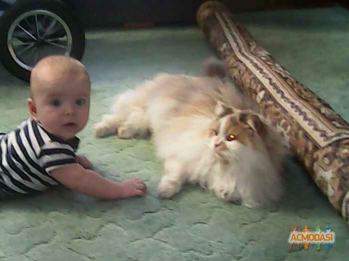 Никита  Попеску фото №848966. Загружено 14 Апреля 2015