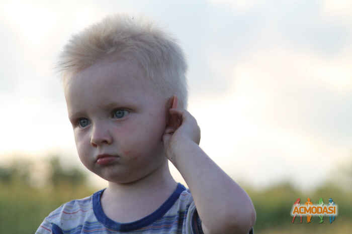 Савелий Максимович Шаров фото №1486317. Загружено 16 Июля 2019
