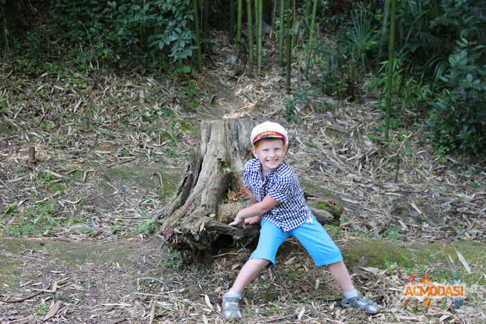 Михаил  Молчагин фото №986715. Загружено 29 Января 2016