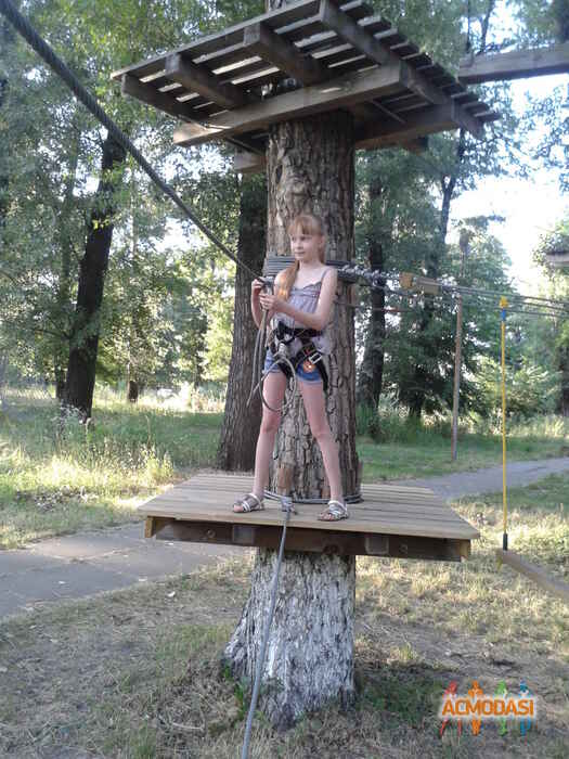 Вероника Николаевна Шевчук фото №760782. Загружено 27 Октября 2014