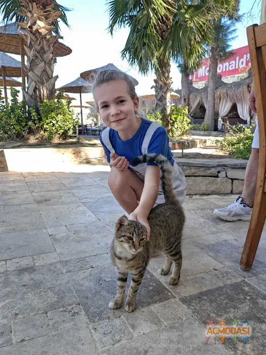 Виктория  Крупенина фото №1933752. Загружено 08 Августа 2025