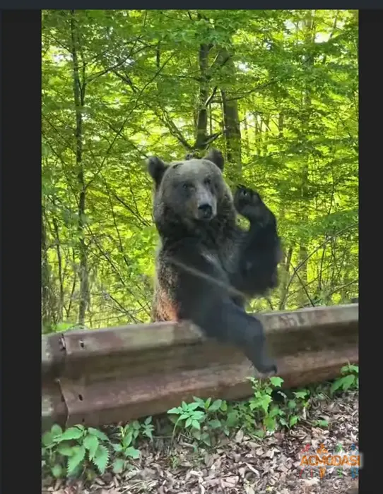 Александр   фото №1916776. Загружено 14 Января 2025