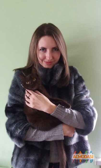 Юля  Лана фото №1097883. Загружено 16 Октября 2016