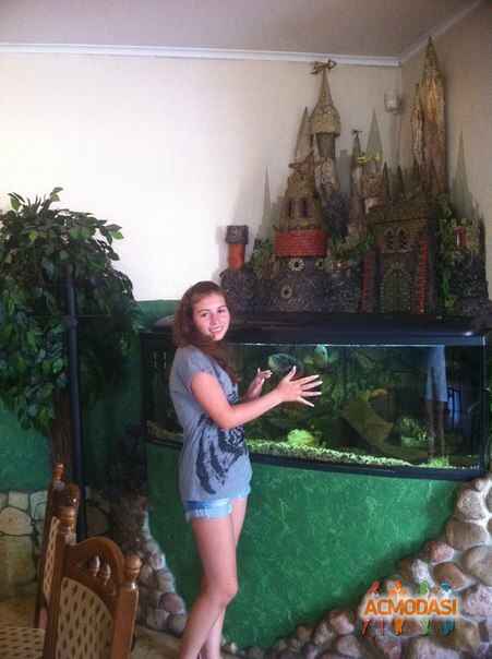 Муза  Яковенко фото №486306. Загружено 06 Сентября 2013