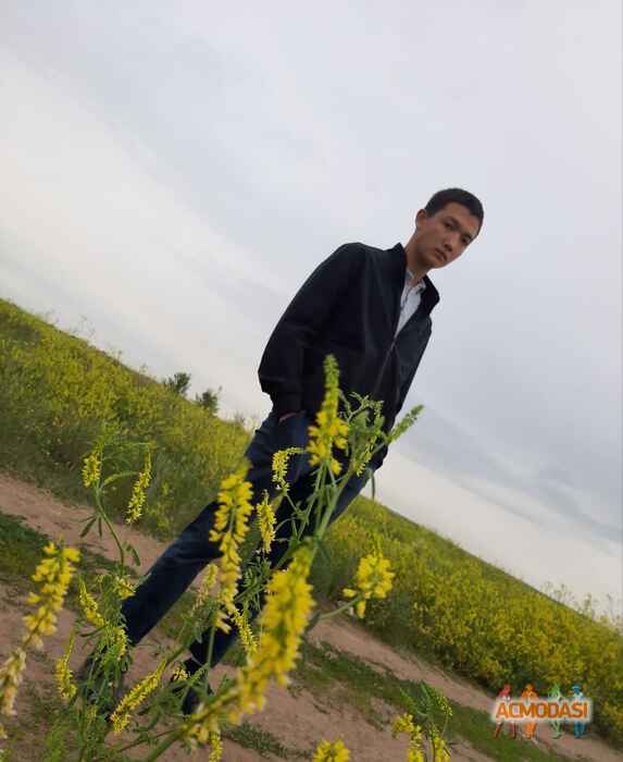 Дархан Абдуразакович Базаров фото №1493674. Загружено 30 Июля 2019