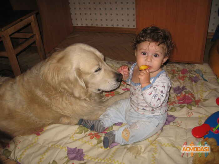 Михаил Антонович Ласточкин фото №138507. Загружено 26 Января 2012