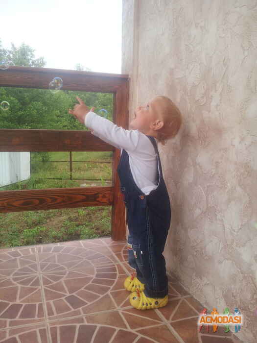 Дмитрий Никитич Павленков фото №900283. Загружено 05 Августа 2015