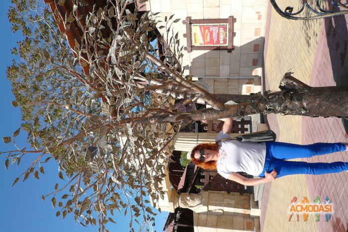 Тамара Алексеевна Чернякова фото №576737. Загружено 21 Января 2014