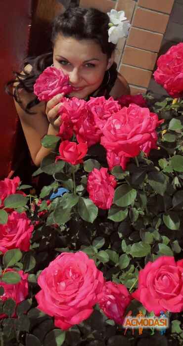 Алла Павловна Колодня фото №614176. Загружено 13 Марта 2014