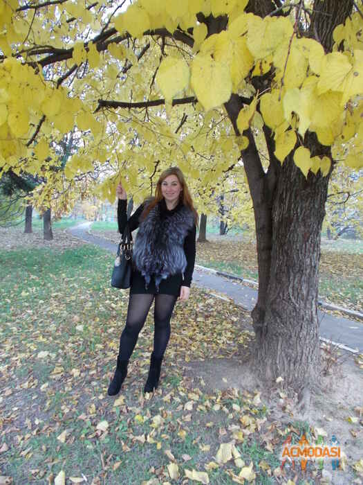 Елена Александровна Явкина фото №511945. Загружено 16 Октября 2013