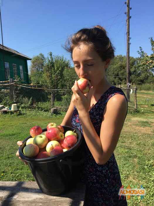 Amina   фото №1391855. Загружено 09 Ноября 2018
