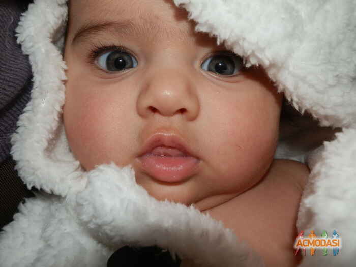 Aida   фото №304464. Загружено 05 Декабря 2012