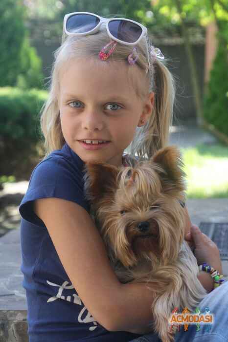 Cофия  Кучеренко фото №784841. Загружено 04 Декабря 2014