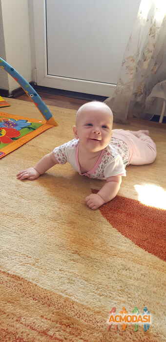 Алиса Дмитриевна Верещагина фото №1520732. Загружено 05 Октября 2019