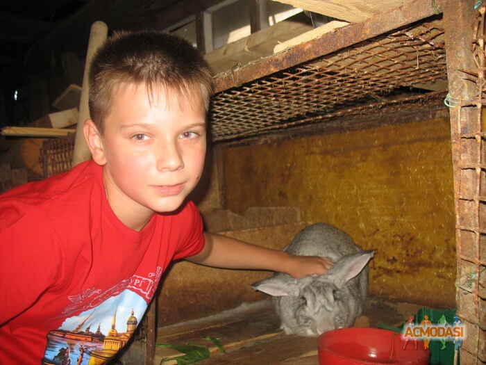 Мамонтов  Сергей фото №47985. Загружено Неизвестно