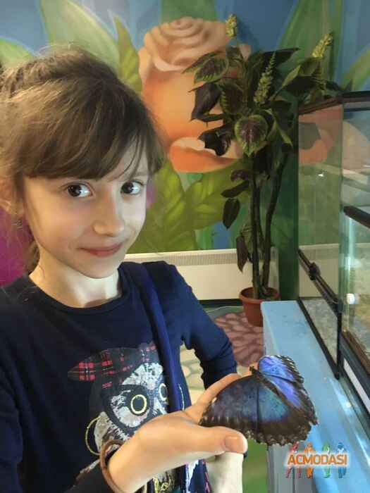 Екатерина Новикова  фото №1043089. Загружено 05 Июня 2016