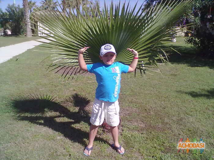 Сергей  Алмаев фото №248348. Загружено 03 Сентября 2012