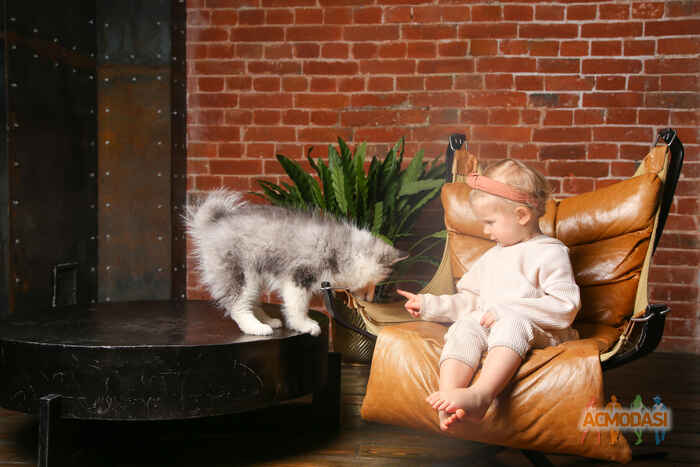 Валентина  Иващенко фото №1708414. Загружено 19 Мая 2021