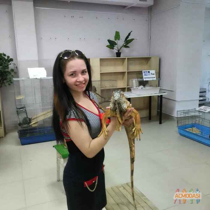 Маргарита   фото №1645668. Загружено 10 Октября 2020