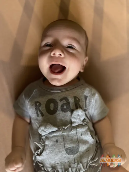 Елисей   фото №1933412. Загружено 05 Августа 2025