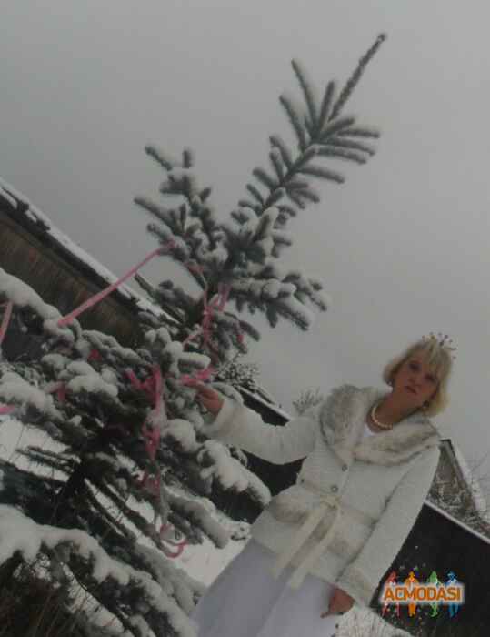 Елена Витальевна Шакирова фото №128400. Загружено 10 Января 2012
