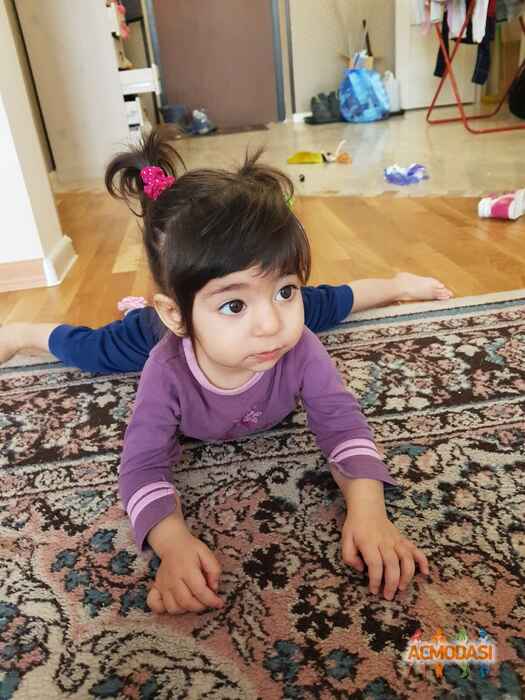 Лилия  Абед фото №1414242. Загружено 19 Января 2019