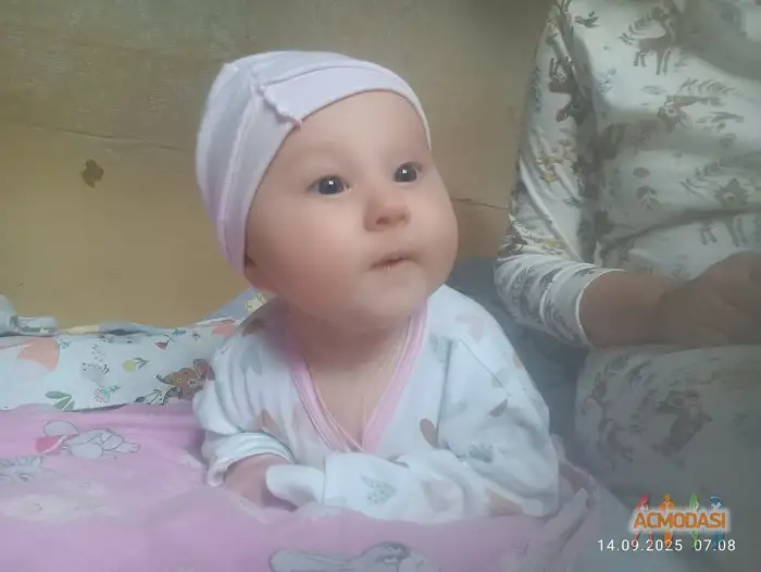 Мирра  Хасхачих фото №1938535. Загружено 13 Октября 2025