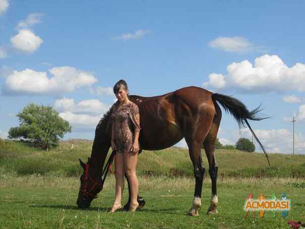 Валерия Альбертовна Шалдина фото №425857. Загружено 09 Июня 2013