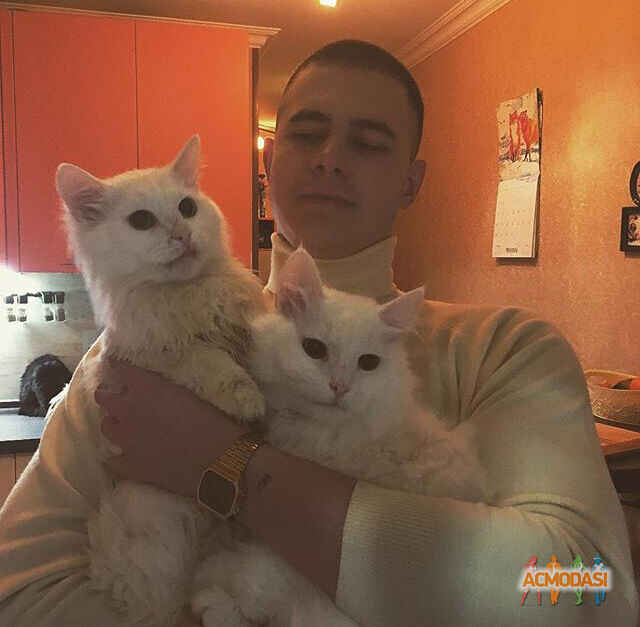 Алексей Дмитриевич Фоменко фото №1456867. Загружено 13 Мая 2019