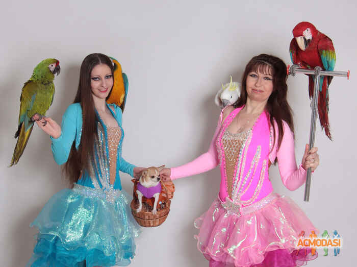 Анжелла Юрьевна Волохвянская фото №943720. Загружено 23 Октября 2015