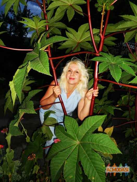 Алёна  Атаманчук фото №636076. Загружено 14 Апреля 2014