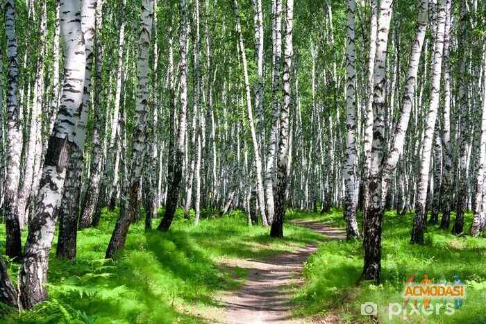 Asya  Anders фото №1495979. Загружено 05 Августа 2019