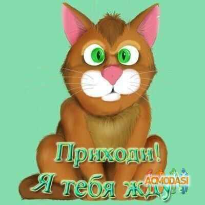 Галеченко Алина Сергеевна фото №762868. Загружено 30 Октября 2014