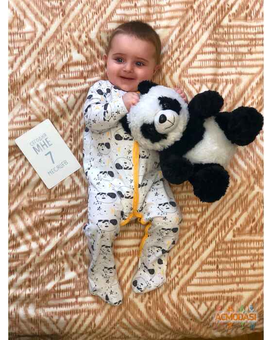 Амелия  Айвазян фото №1684135. Загружено 19 Февраля 2021