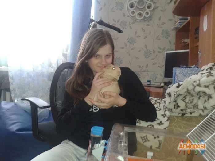 Анюта  Гавва фото №642511. Загружено 25 Апреля 2014