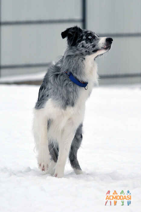 Марина Николаевна Шикалова фото №1127012. Загружено 23 Декабря 2016