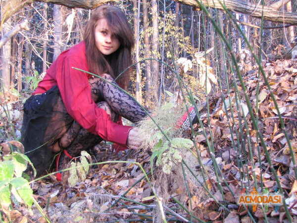 Мария Сергеевна Серова фото №244587. Загружено 27 Августа 2012