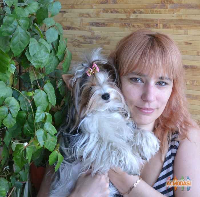 Юлия  Владимировна фото №489212. Загружено 11 Сентября 2013