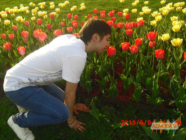 Инга Сергеевна Филимонова фото №424683. Загружено 07 Июня 2013