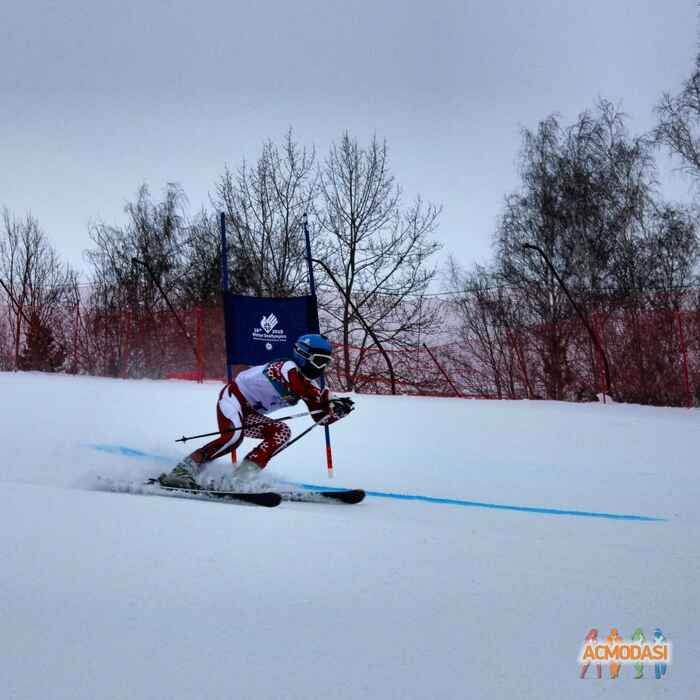 Надежда Владиславовна Брауэр фото №1122996. Загружено 12 Декабря 2016