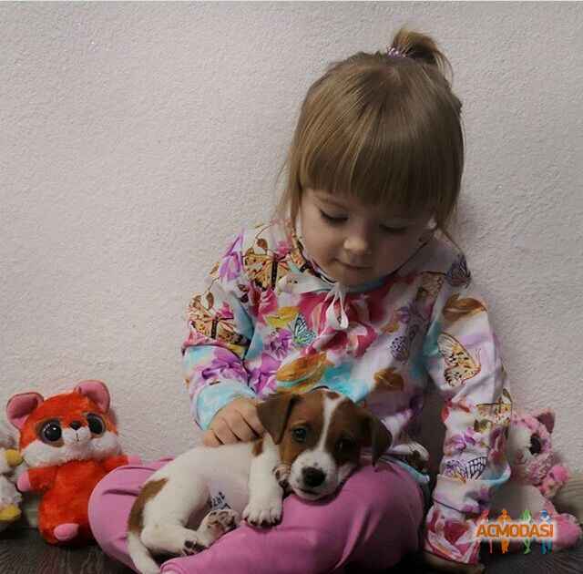 Валерия Сергеевна Копылова фото №1463332. Загружено 22 Мая 2019