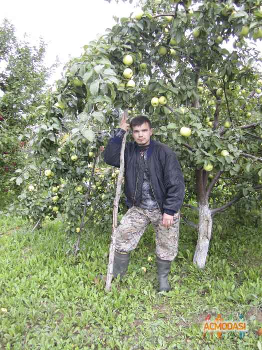 Алексей Михайлович Синицын фото №206769. Загружено 01 Июня 2012