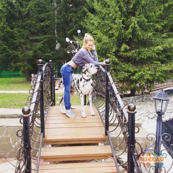 Карина  Королева фото №933649. Загружено 10 Октября 2015