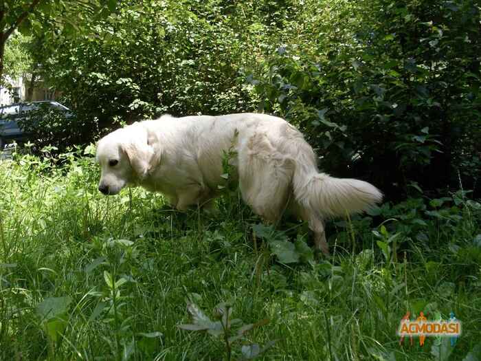 Марина Анатольевна Олий фото №1105339. Загружено 03 Ноября 2016