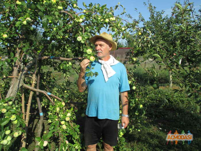 Михаил Алексеевич Родионов фото №1495755. Загружено 05 Августа 2019