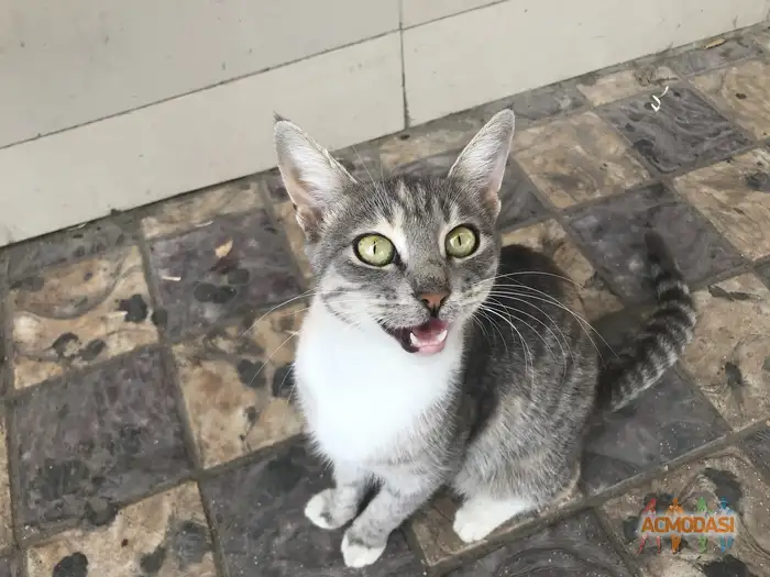 Кристальевна   фото №1938582. Загружено 13 Октября 2025