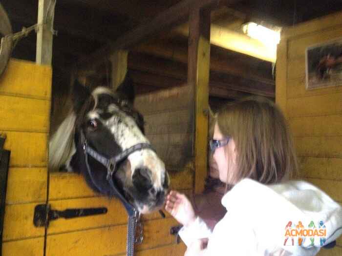 Наталья  Ильина фото №769994. Загружено 11 Ноября 2014