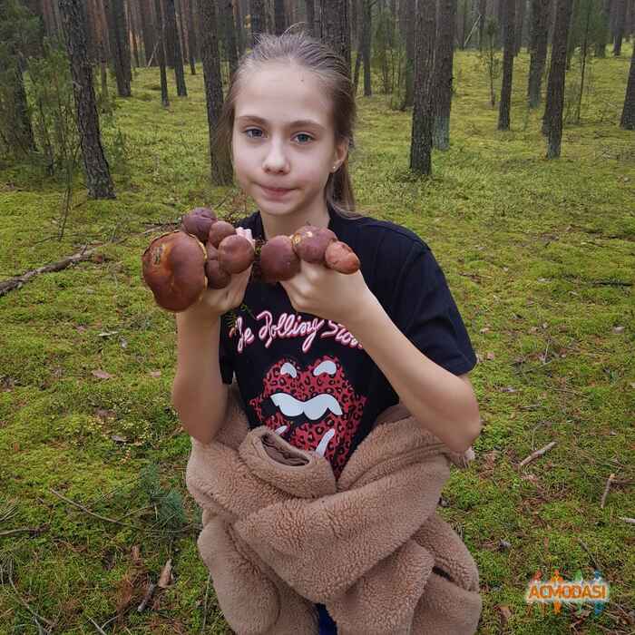 Валерия Андреевна Варец фото №1537289. Загружено 09 Ноября 2019
