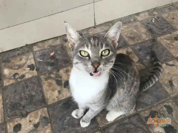 Кристальевна   фото №1938579. Загружено 13 Октября 2025